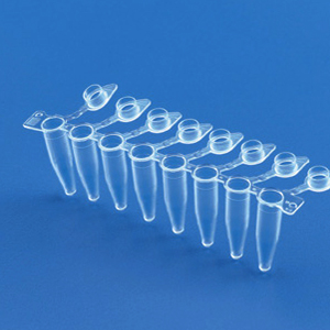 0.2 ml 8-Tube PCR Strips without Caps, high profile, clear